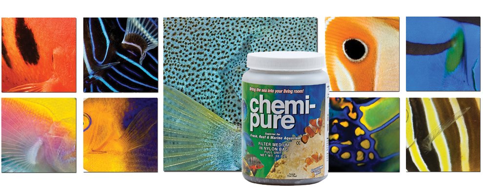 chemipure-990x400_banner1